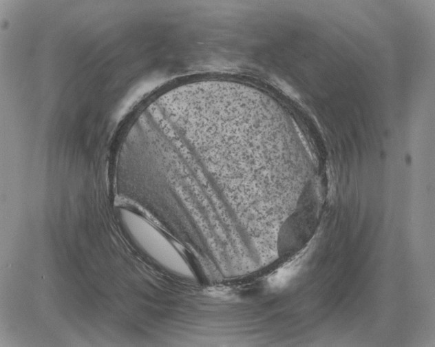 X0000081471214200701261954