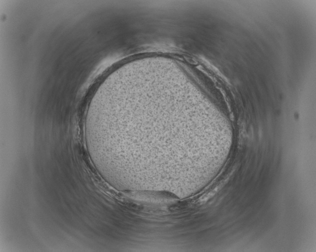 X0000081471215200701261954