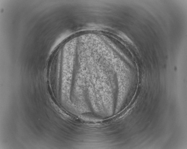 X0000081471216200701261954