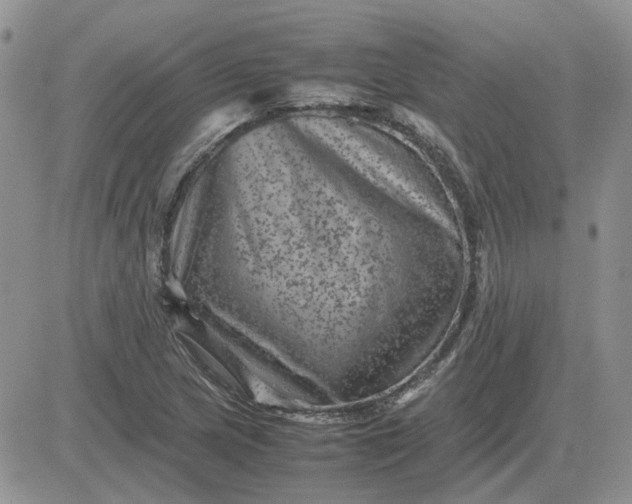 X0000081471217200701261954