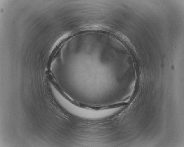 X0000081471218200701261954