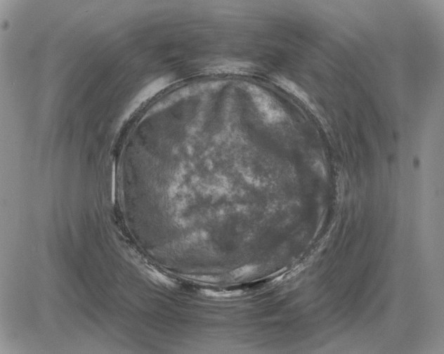 X0000081471219200701261954