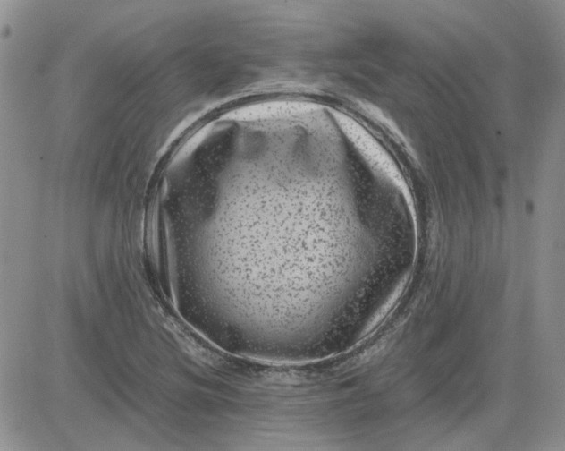 X0000081471220200701261954