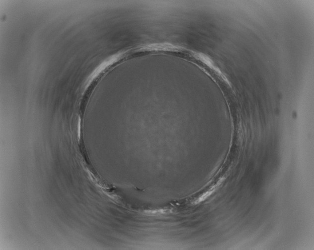 X0000081471221200701261954