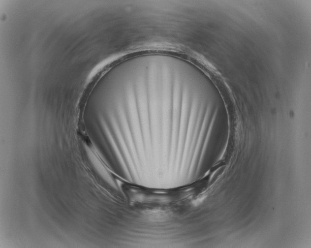 X0000081471222200701261954