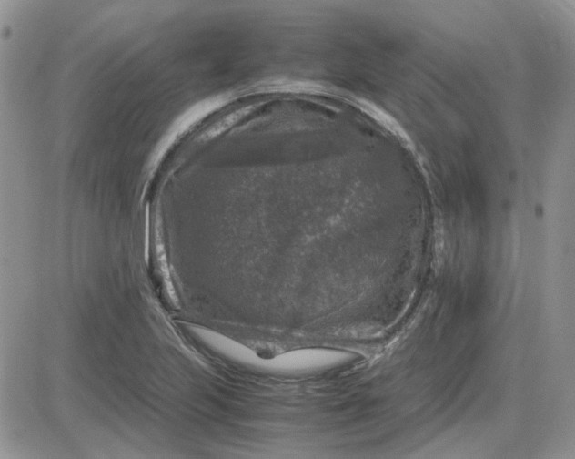 X0000081471223200701261954