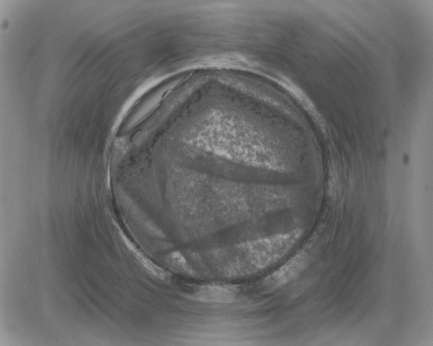 X0000081471224200701261954