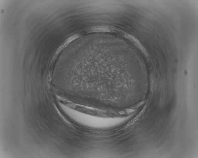 X0000081471225200701261955