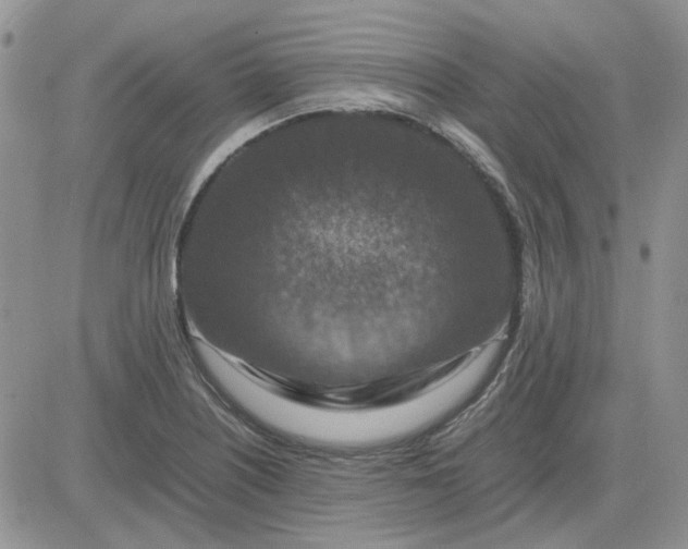 X0000081471226200701261955