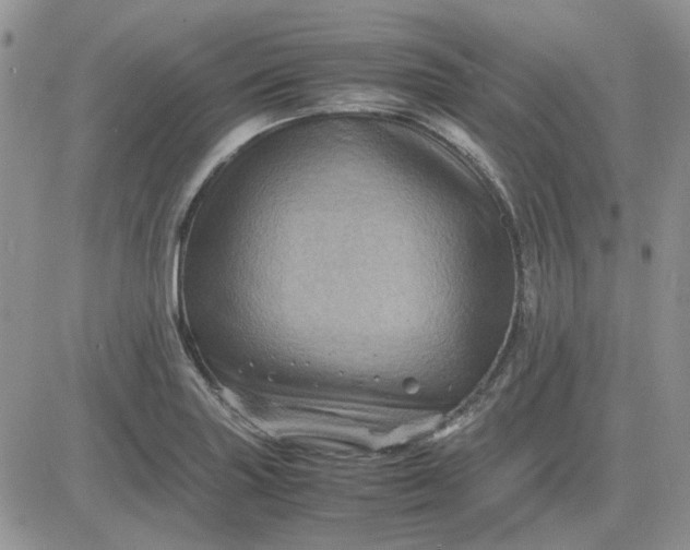 X0000081471227200701261955