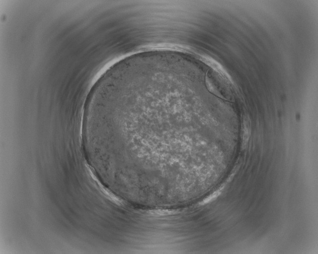 X0000081471228200701261955