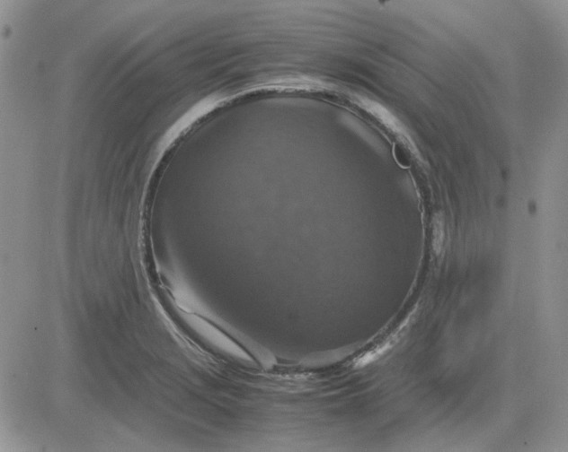 X0000081471229200701261955