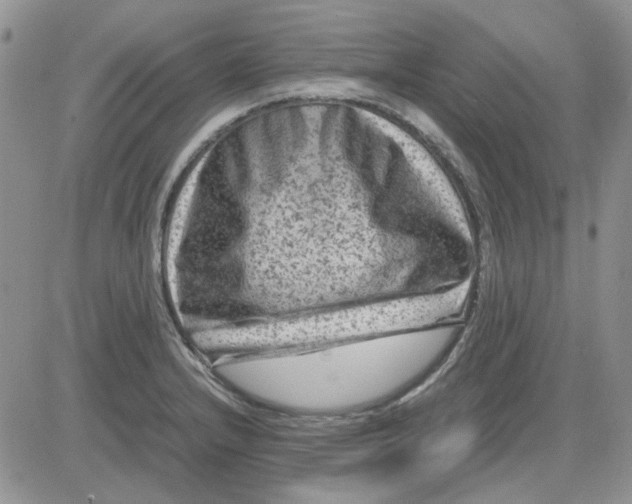 X0000081471232200701261955