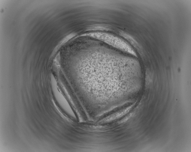 X0000081471233200701261955