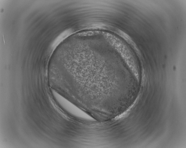 X0000081471234200701261955