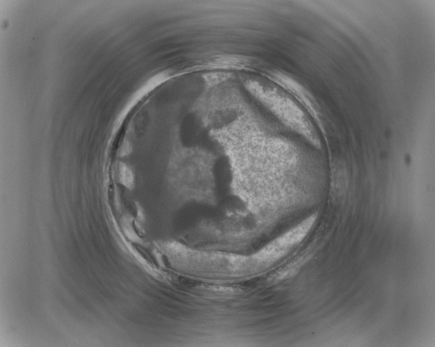 X0000081471235200701261955