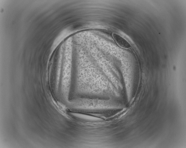 X0000081471236200701261955