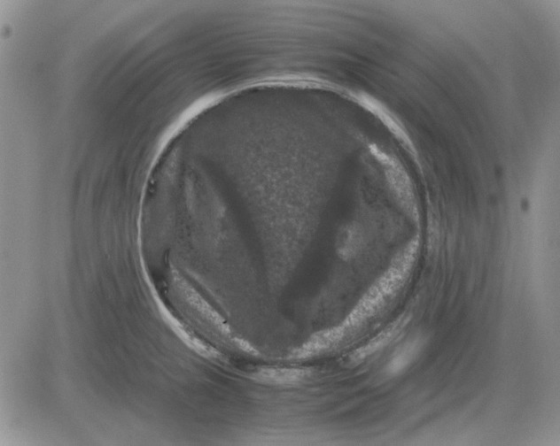 X0000081471237200701261955