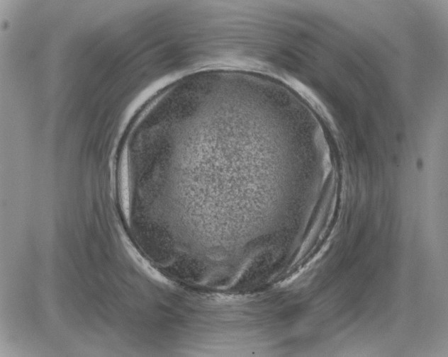 X0000081471238200701261955