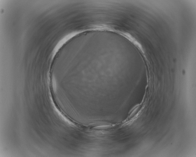 X0000081471239200701261955