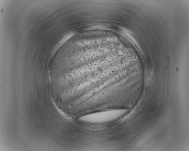 X0000081471241200701261955