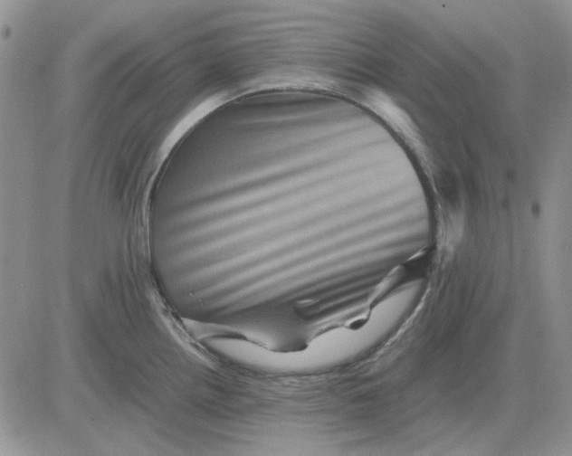 X0000081471242200701261955