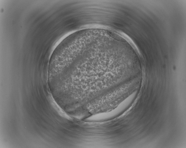 X0000081471244200701261955