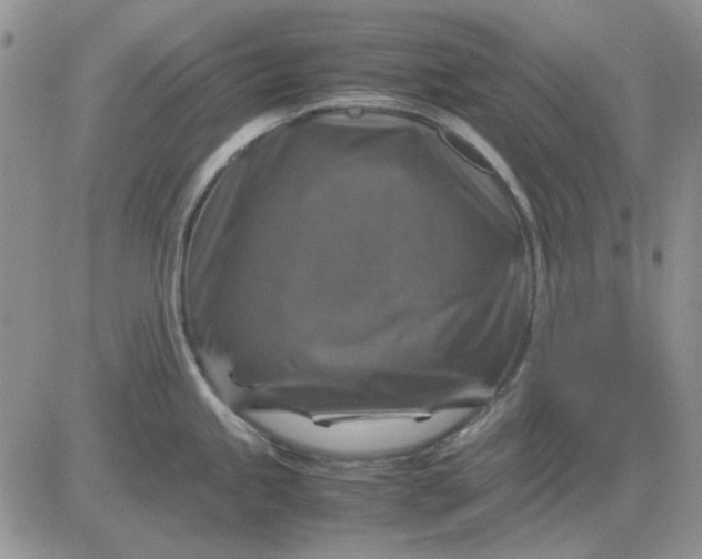 X0000081471245200701261955