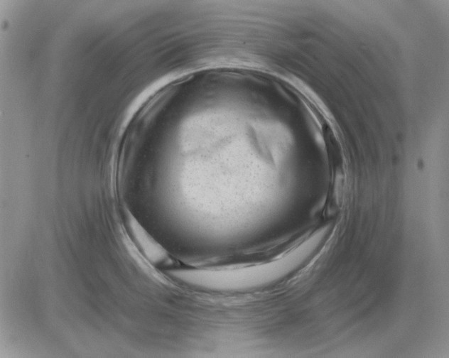 X0000081471246200701261955