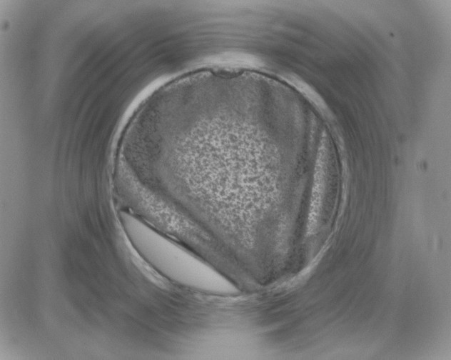 X0000081471248200701261955