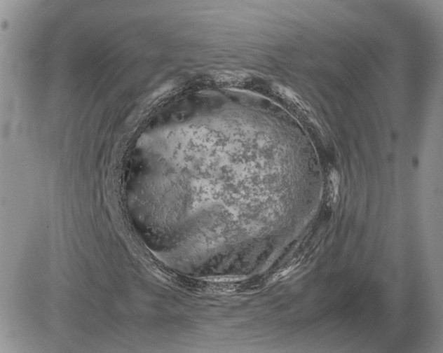 X0000081471249200701261954