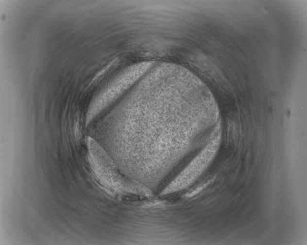 X0000081471250200701261954