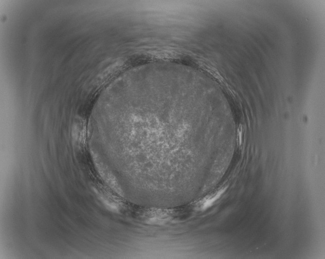 X0000081471251200701261954