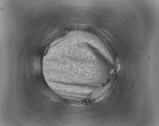 X0000081471252200701261954