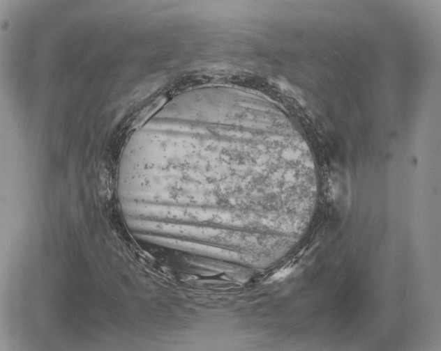 X0000081471253200701261954