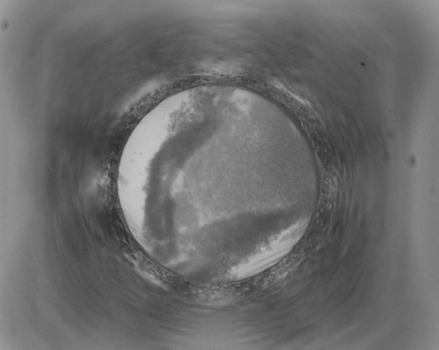 X0000081471254200701261954