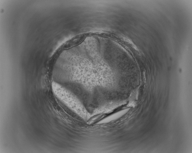 X0000081471256200701261954