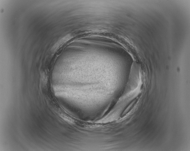 X0000081471257200701261954