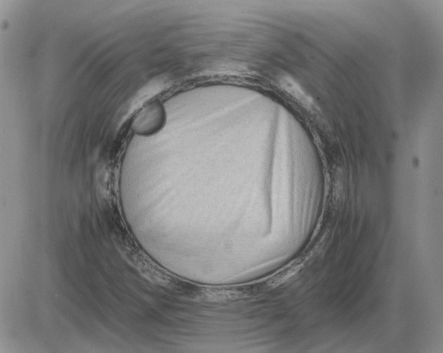 X0000081471258200701261954