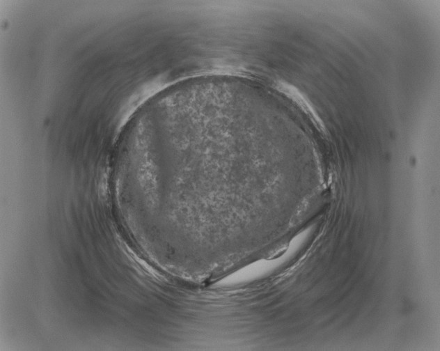 X0000081471260200701261954