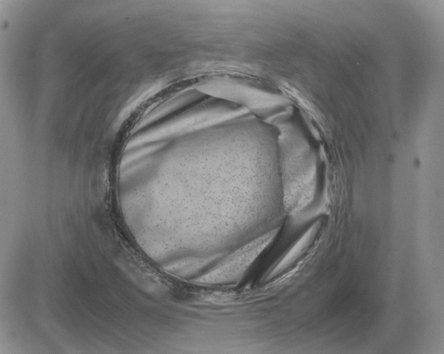 X0000081471261200701261954