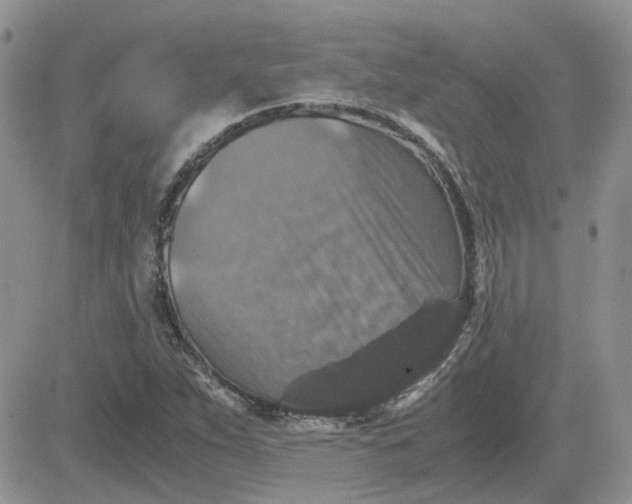 X0000081471263200701261954