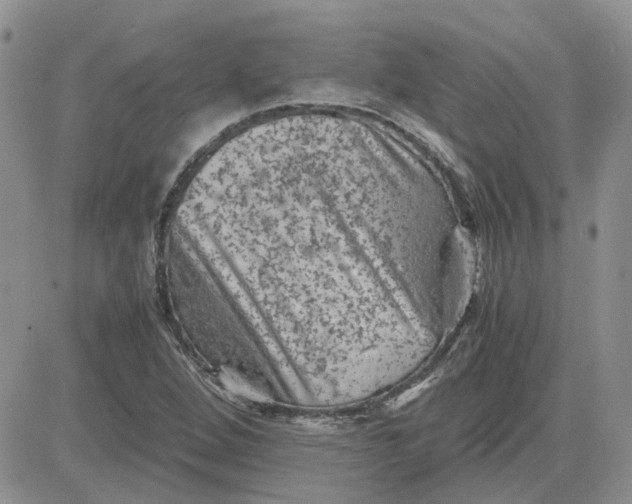 X0000081471264200701261954