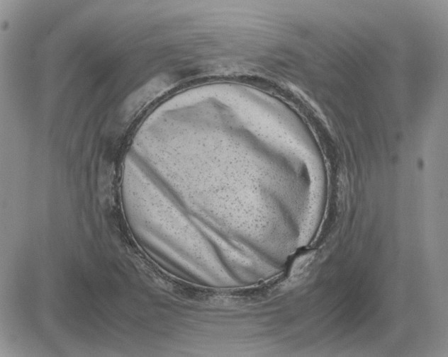 X0000081471265200701261954