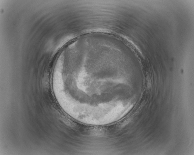 X0000081471266200701261954