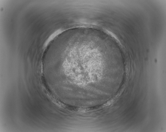 X0000081471267200701261954