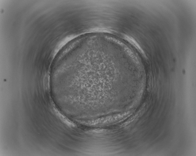 X0000081471268200701261954