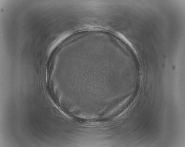 X0000081471269200701261954