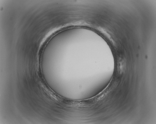 X0000081471270200701261954