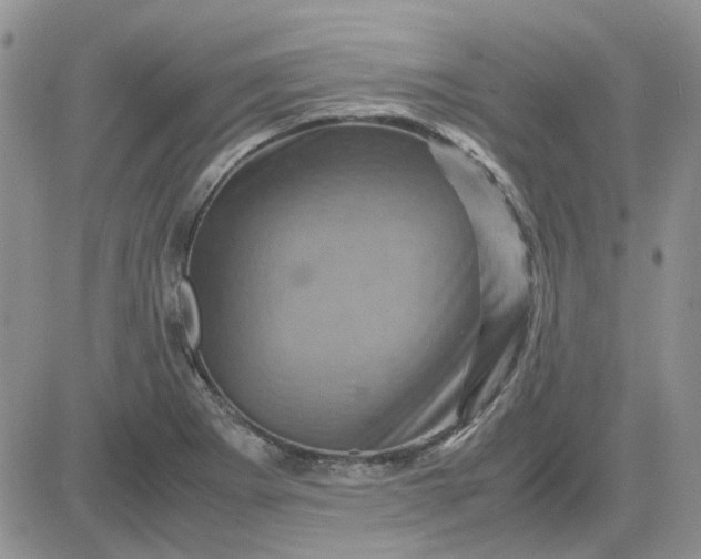 X0000081471273200701261954